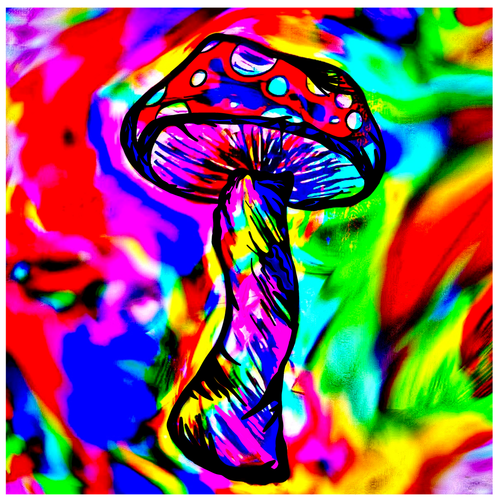 Rainbow Mushroom Art Print Poster Wall Decor Laminated Human Made Art