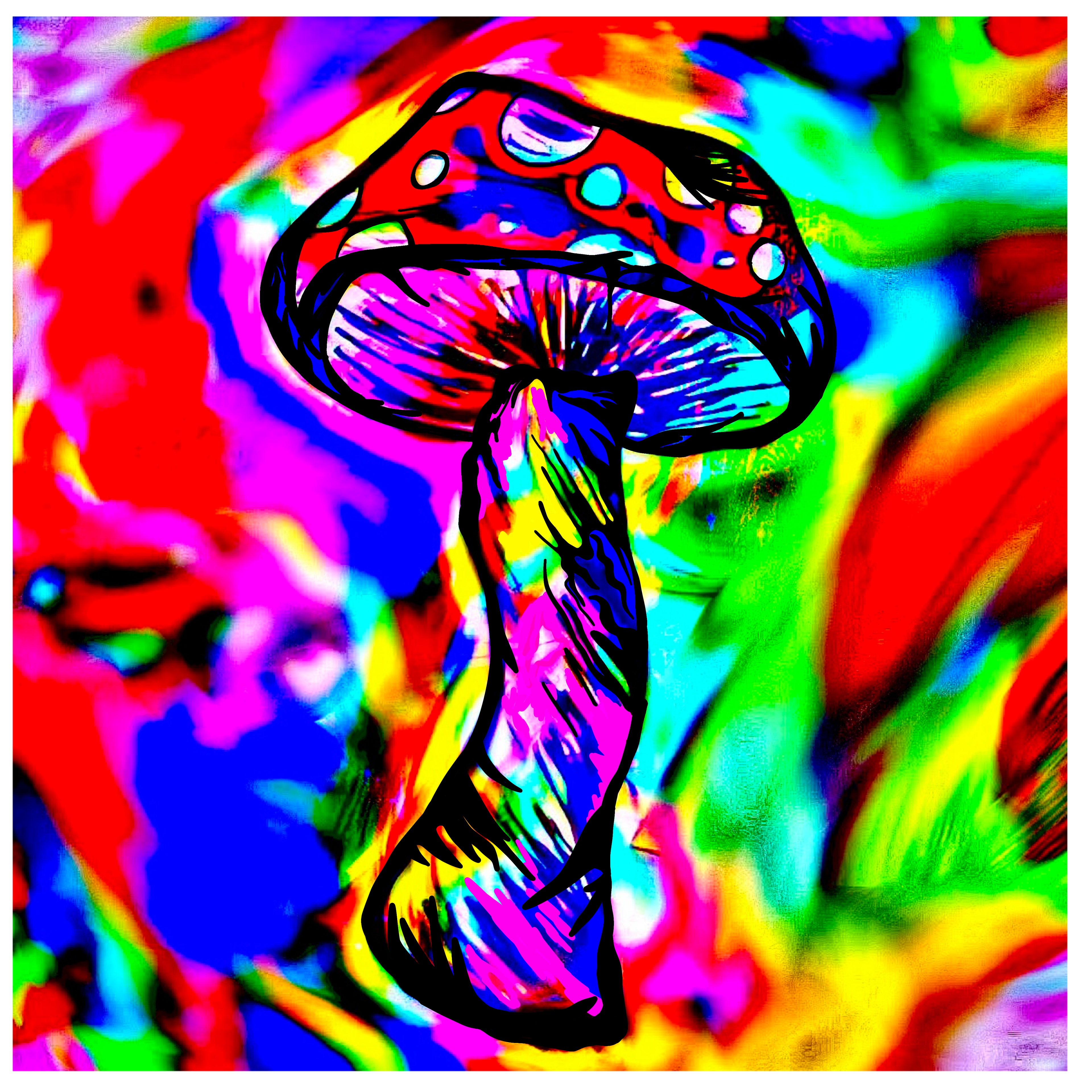 Rainbow Mushroom Art Print Poster Wall Decor Laminated Human Made Art